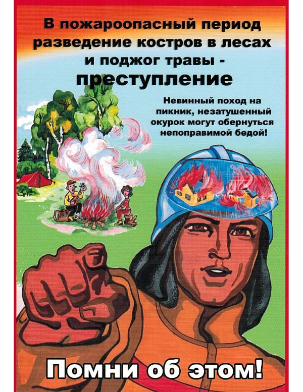 Меры пожарной безопасности в лесу